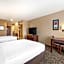 Comfort Inn Lathrop Stockton Airport