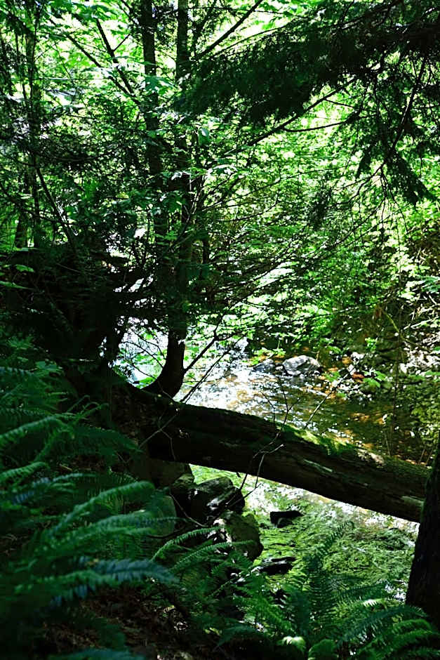 The Rockwell-Harrison Guest Lodge