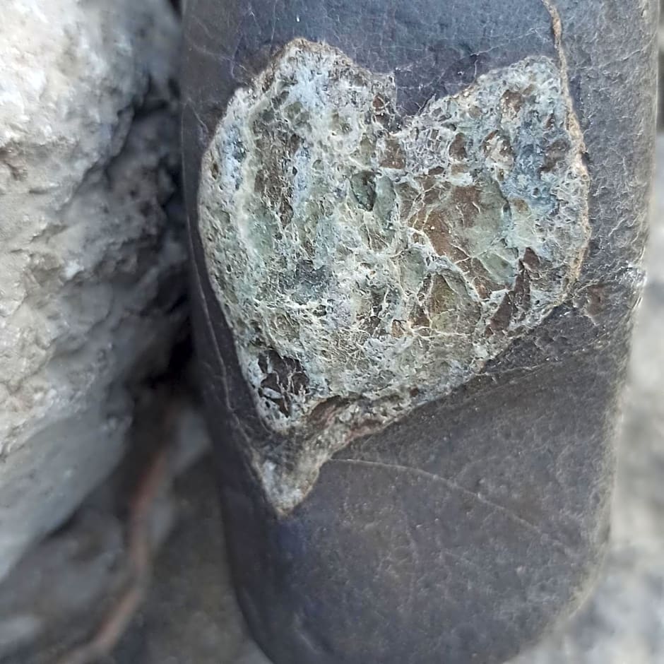 B&b il campanile di leone Pina