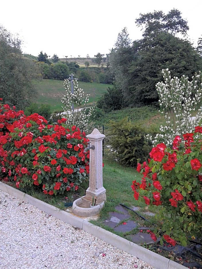 B&B Monticelli
