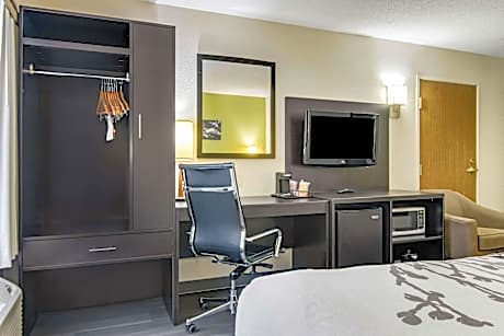 1 King Bed, Nonsmoking