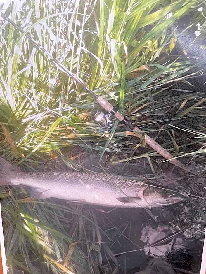 Skjernaa-ferie/ Andersen Invest