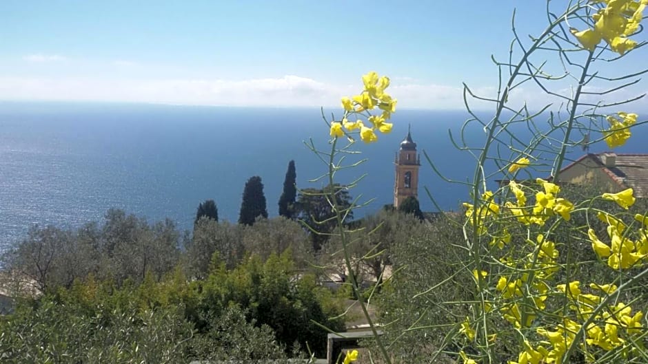 Il Gabbiano Di Pieve