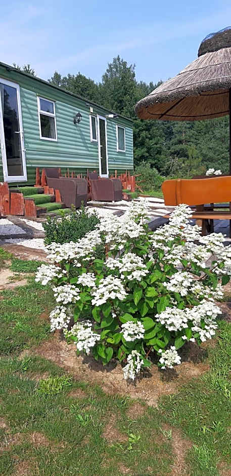 Agroturystyka Perła Gaju