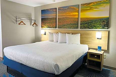 1 Queen Bed Non-Smoking Room With