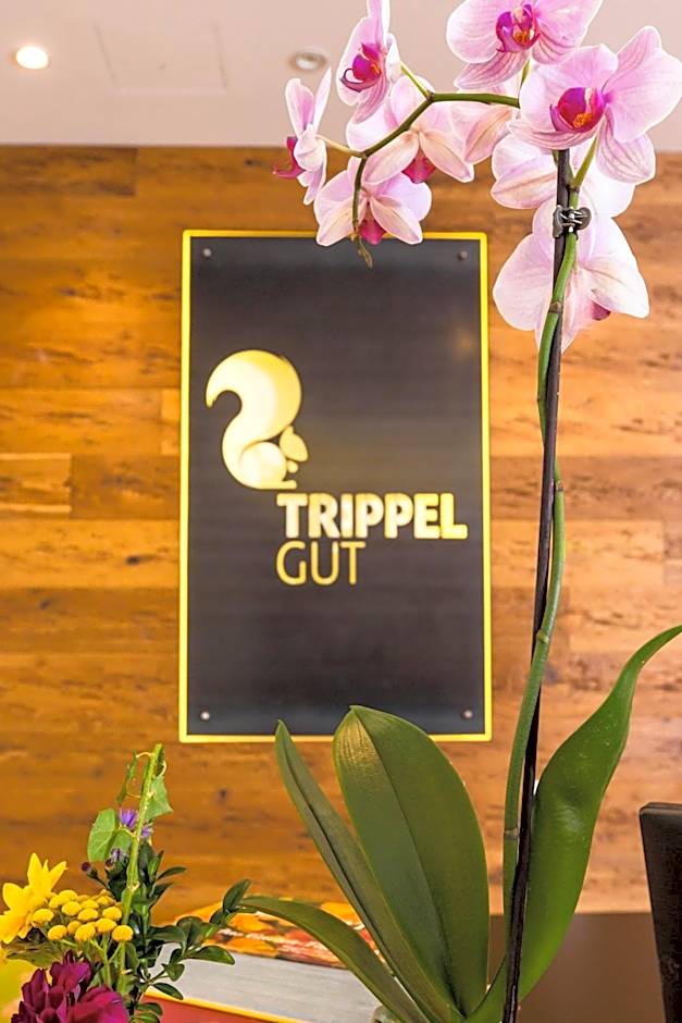 TrippelGUT - SchlafGUT