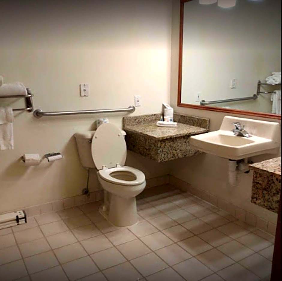 Comfort Inn & Suites Morton - Peoria