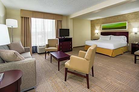 1 King Bed Business Suite Non-Smoking