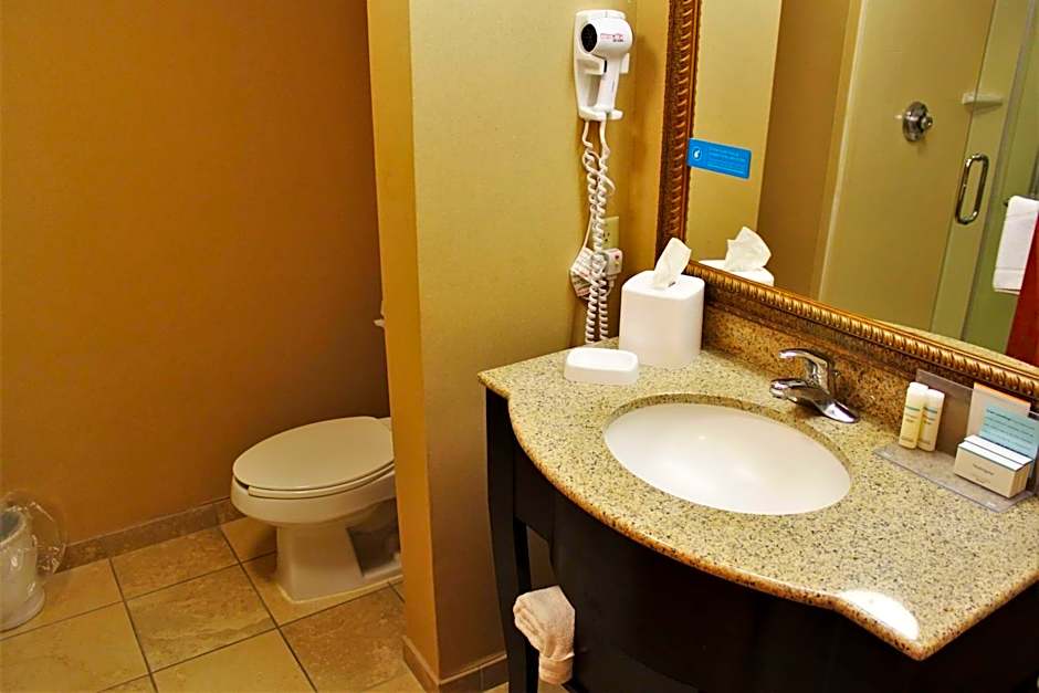 Hampton Inn By Hilton Americus, Ga