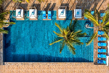 Le Mersenne Zanzibar, Autograph Collection