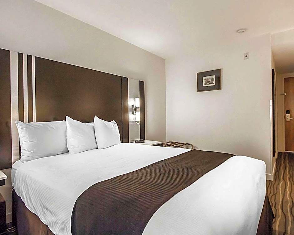 Quality Hotel Airport (South)