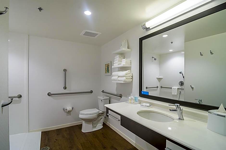 Hampton Inn Chicago North/Loyola Station