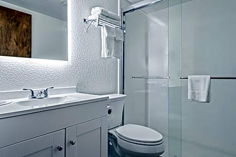 1 Queen Bed Studio Suite Non-Smoking