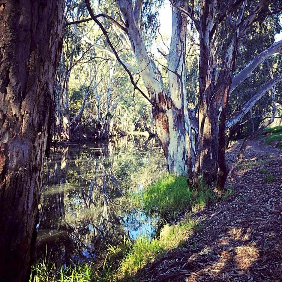 Tocumwal Early Settlers Motel