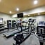 Best Western South Plains Inn & Suites