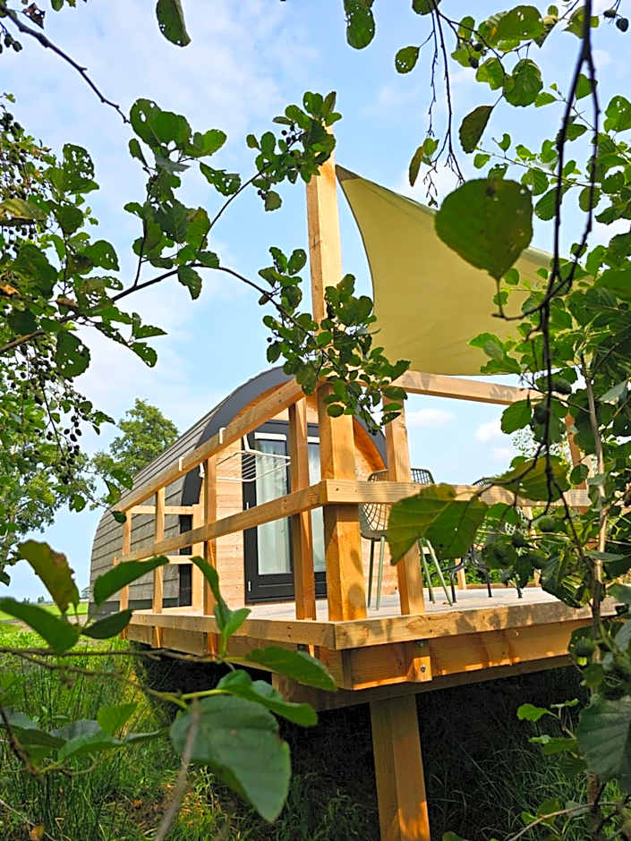 Tiny House De Skierroek