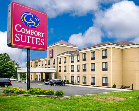 Comfort Suites Vestal near University