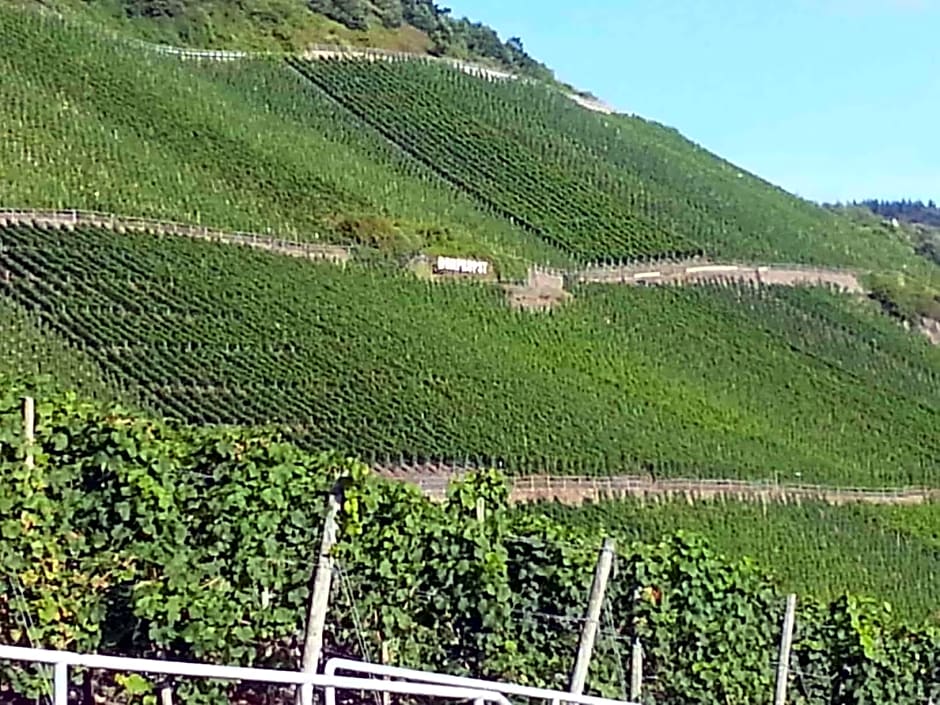 Weinhaus Hotel zum Josefshof