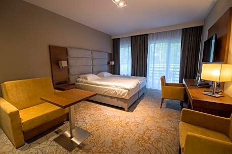 Large Double or Twin Room