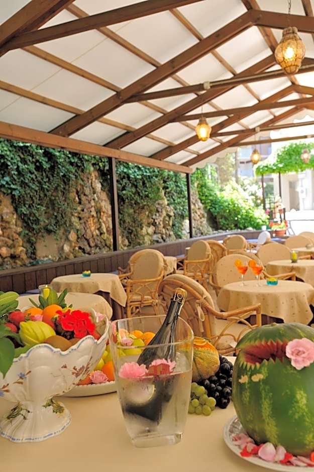 Hotel Salus