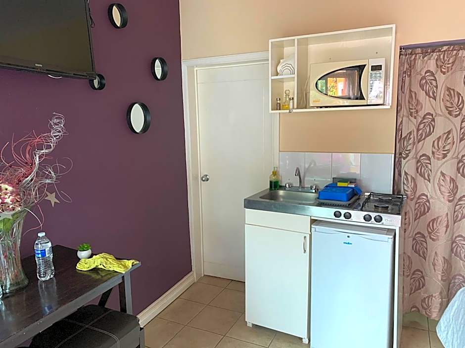 Satya Suites & Portal San Angel Flats