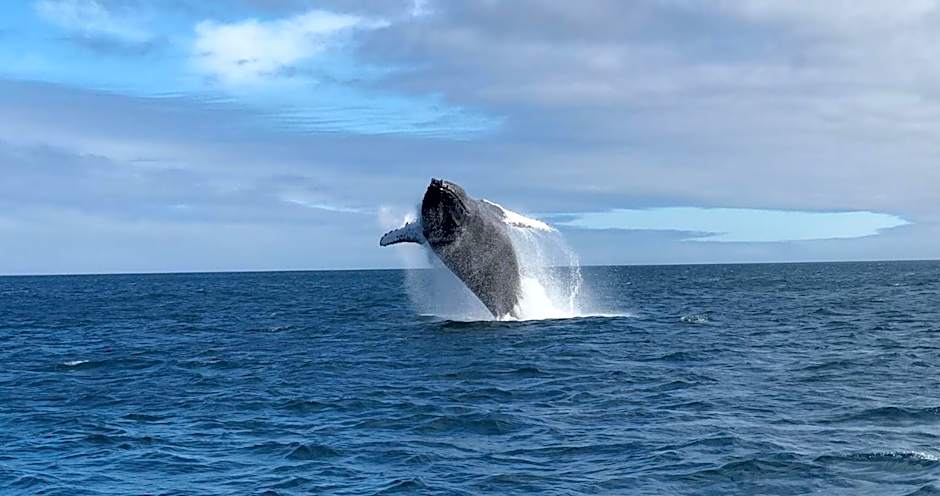 On the Beach Guesthouse Jeffreys Bay