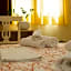 B&B Piazza Vittorio