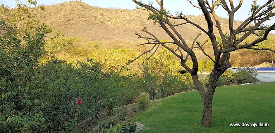 Devraj Villa - Luxury Pool Villa Udaipur