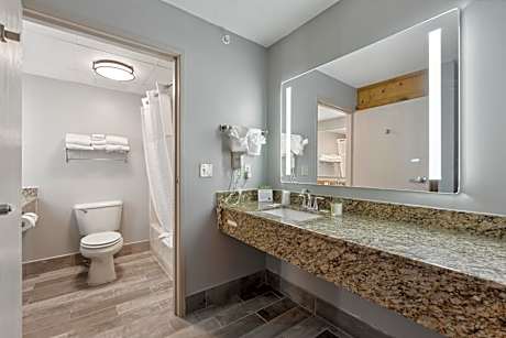 One-Bedroom King Suite - Non-Smoking