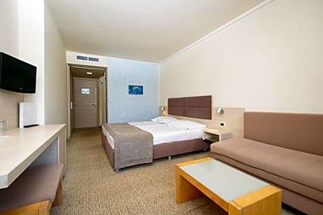 Classic Room with Balcony and Sofa Bed - Park Side