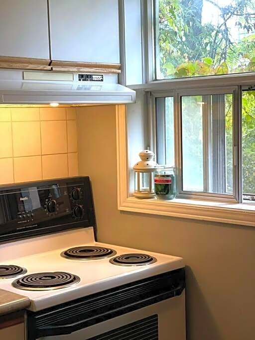 Superb Spacious Loft Old Toronto near Distillery District