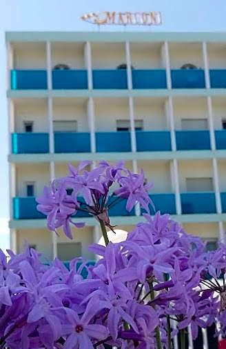 MoMo Seaview Hotel