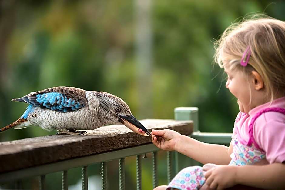 Amaroo Rainforest Resort
