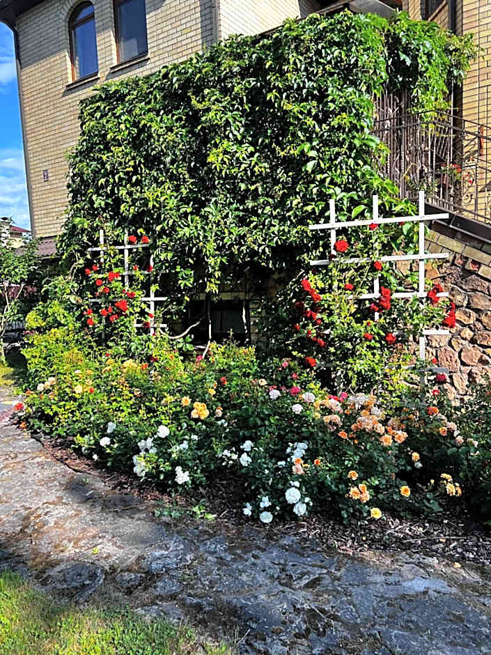 Spacious rooms in peaceful Jelgava area