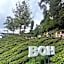 Nova Sunrise n Mountain view Hilltop Hotel apartment in Nova Cameron Highlands