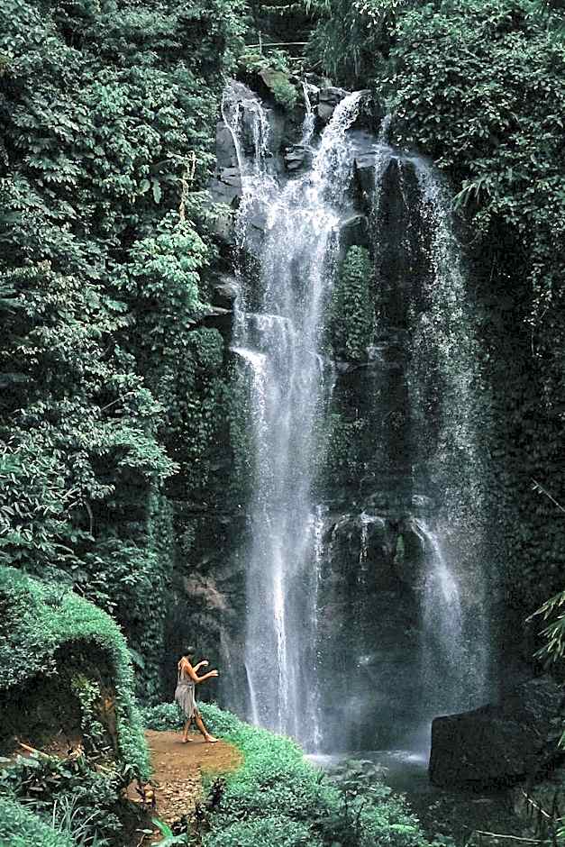 Desa Eko