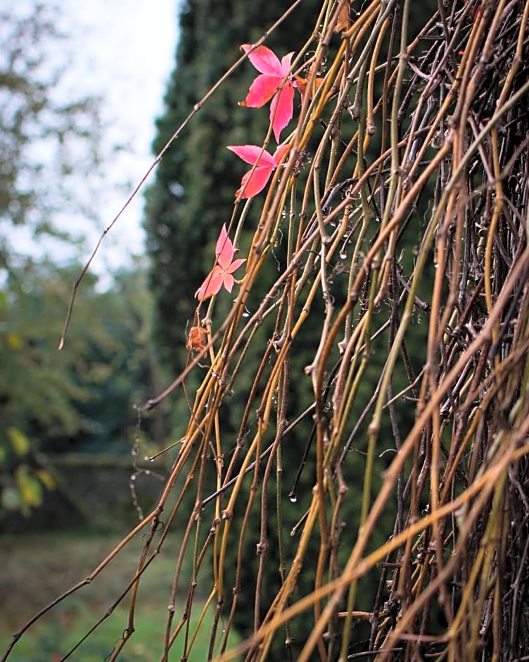 Field End House Strawberry Lane Meysey Hampton