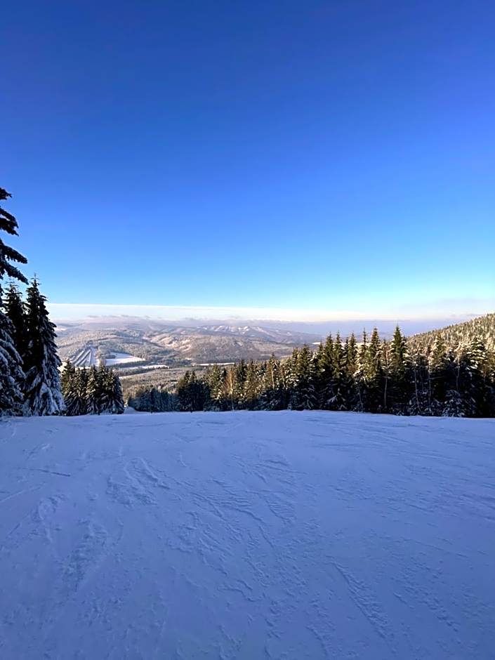 Chata Ramzovské sedlo