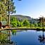 Dunkeld East
