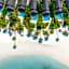 Fushifaru Maldives