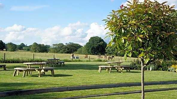 The Bull at Great Totham Limited