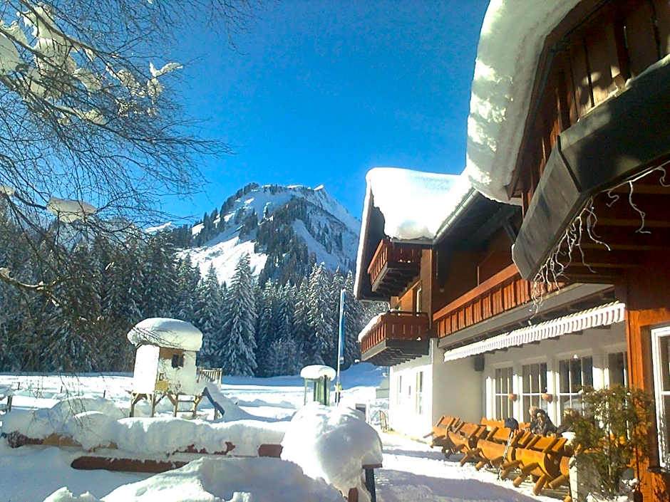 Alpenhotel Widderstein