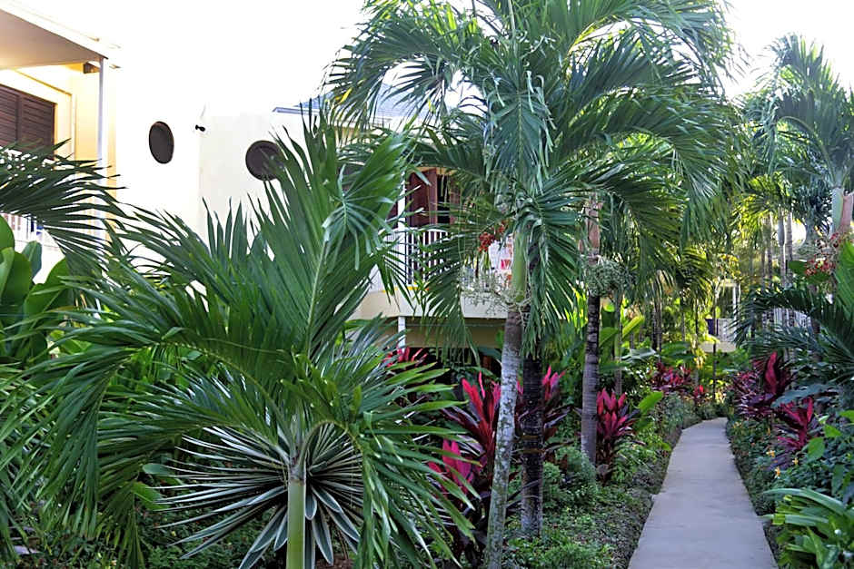 Negril Palms