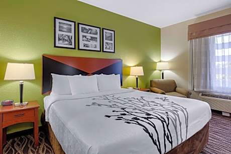 King Room ( 2 Adults) - Non-Smoking