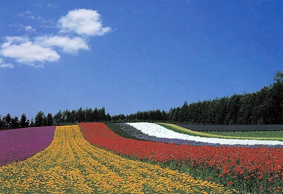 SPA&HOTEL RESORT Furano La Terre