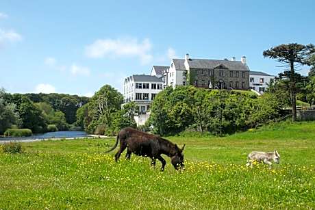 Falls Hotel & Spa
