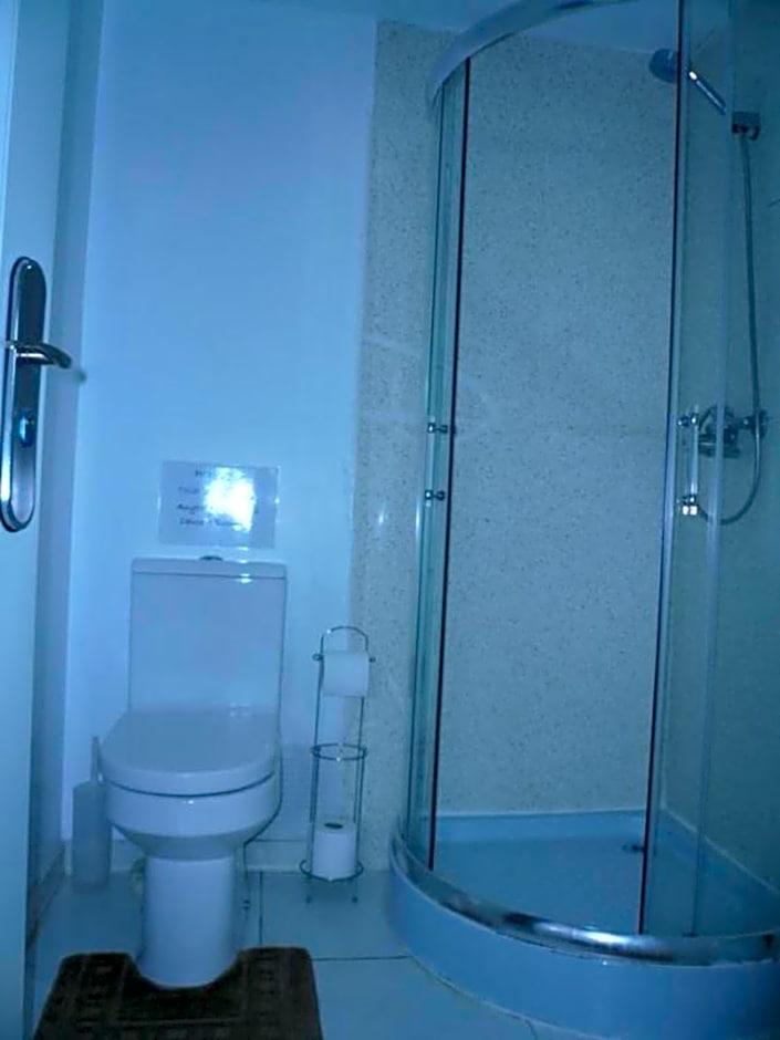 Ardenlea House Hotel B&b