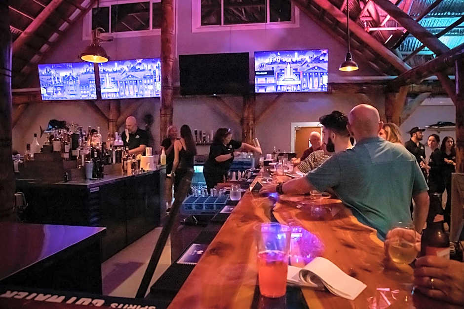 Dolphins Vacation Rental