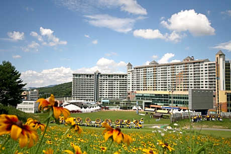 Welli Hilli Park Resort