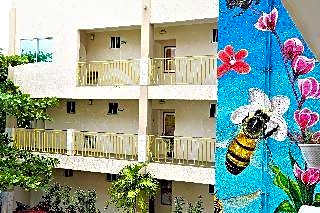 12 Bees Hotel
